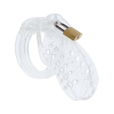 Hidden Desire Extreme Chastity Cock Cage – Secure Penis Gear Default Title > Bondage Gear > Male Chastity