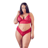 Cottelli Plus Size Lace Bra and Crotchless Briefs – Wireless Lingerie Set > Clothes > Plus Size Lingerie