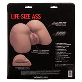 Stroke It Life Size Ass Masturbator Realistic Flesh Brown Flesh Brown > Sex Toys For Men > Assbators