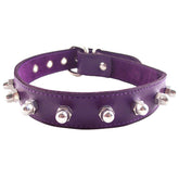 Rouge Garments Purple Nut Collar – Leather Adjustable Collar Default Title > Bondage Gear > Collars