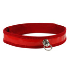 S&M Low Profile Lined Collar - Charm Attachment 7/8 By 19 In > Bondage Gear > Collars & Leashes