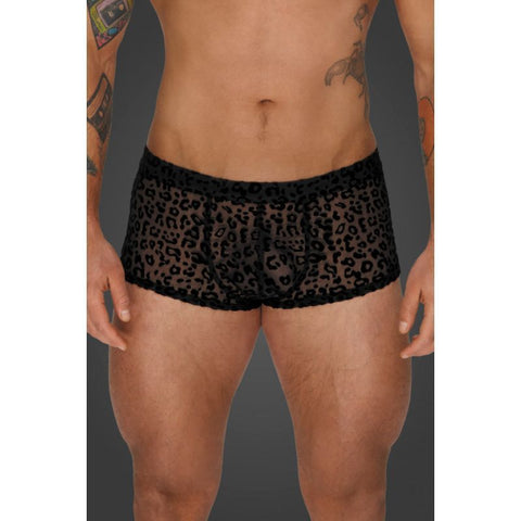 Noir Sheer Animal Print Pants – Form-Fitting Transparent Powernet Pants Mens Briefs