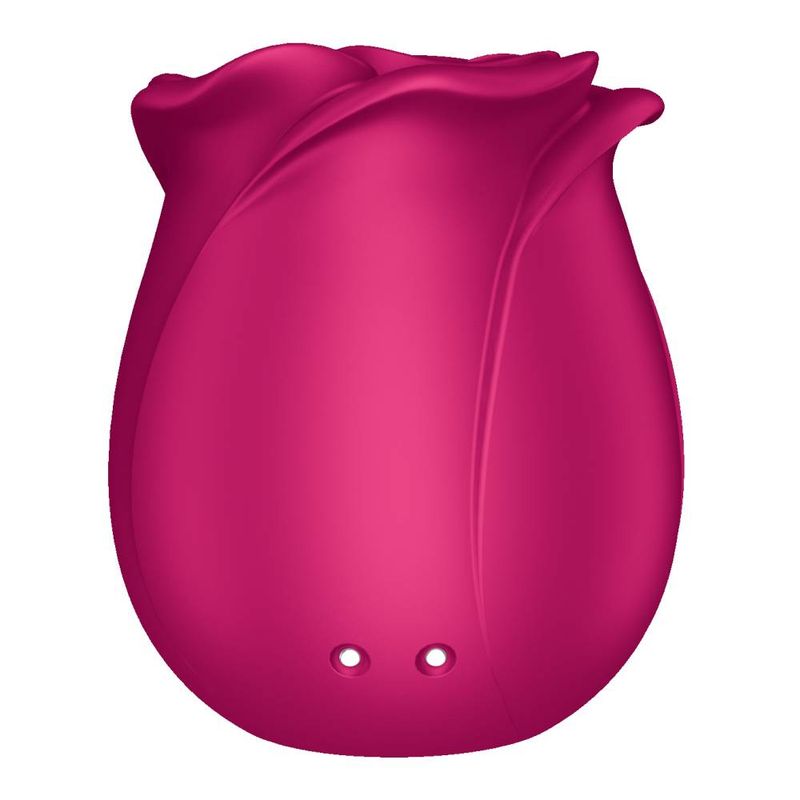 Satisfyer Pro 2 Classic Blossom – Air Pulse Silicone Vibrator > Sex Toys For Ladies > Rose Stimulators