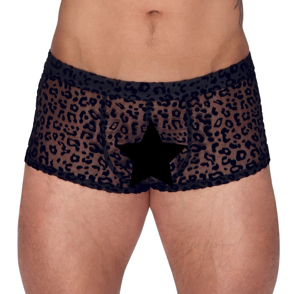 Noir Sheer Animal Print Pants – Luxury Transparent Powernet Pants > Sexy Briefs > Male
