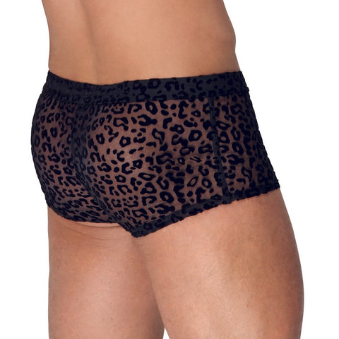 Noir Sheer Animal Print Pants – Luxury Transparent Powernet Pants > Sexy Briefs > Male