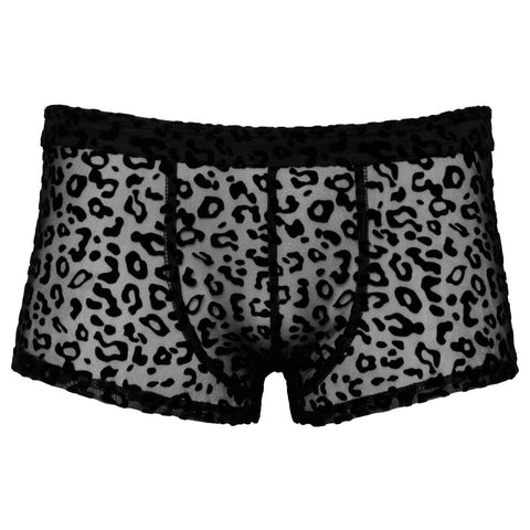 Noir Sheer Animal Print Pants – Luxury Transparent Powernet Pants > Sexy Briefs > Male