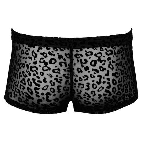 Noir Sheer Animal Print Pants – Luxury Transparent Powernet Pants > Sexy Briefs > Male
