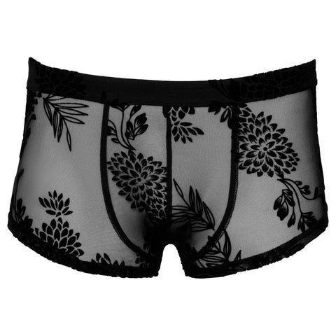 Noir Sheer Floral Lace Pants – Transparent Stretchy Elegant Lingerie Pants > Sexy Briefs > Male