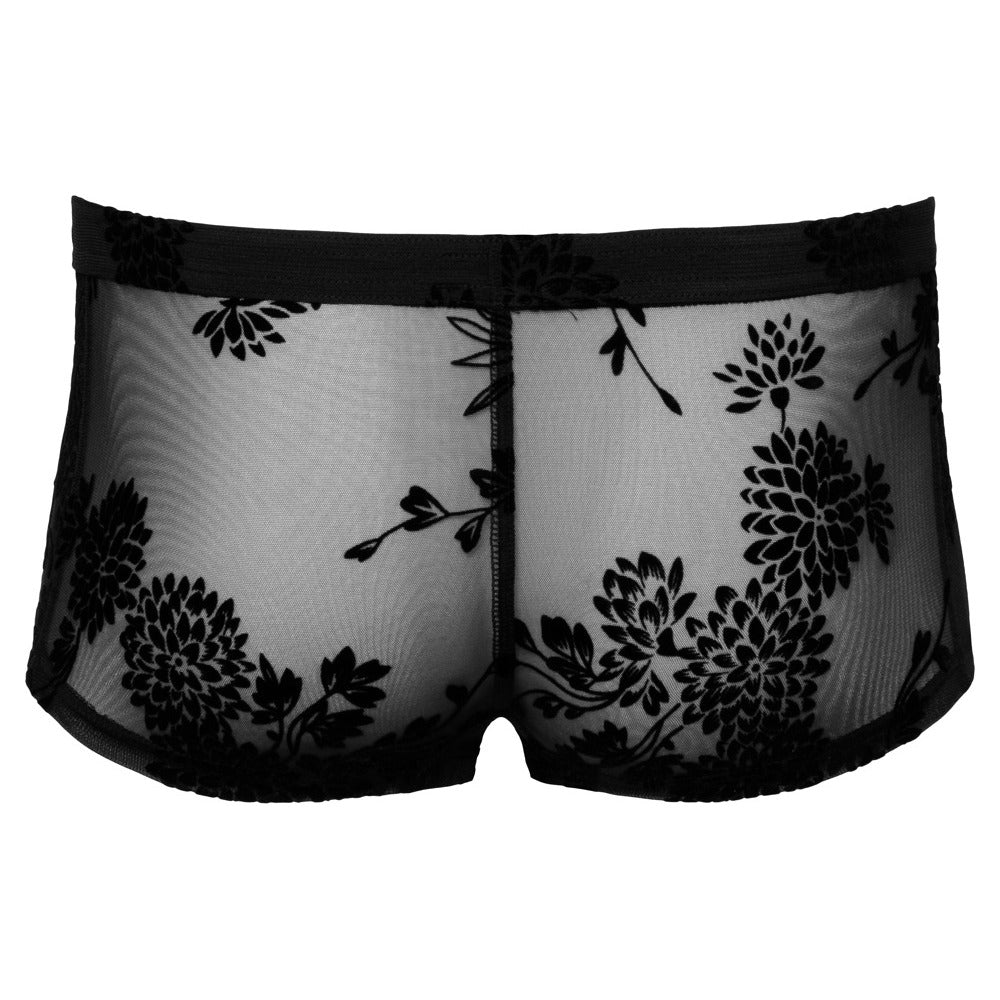 Noir Sheer Floral Lace Pants – Transparent Stretchy Elegant Lingerie Pants > Sexy Briefs > Male