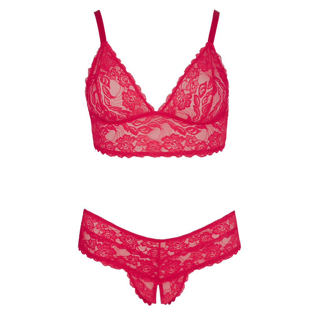 Cottelli Plus Size Lace Bra and Crotchless Briefs – Wireless Lingerie Set > Clothes > Plus Size Lingerie