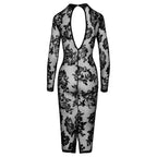 Noir Tight Fitting Floral Transparent Dress – Elegant Women’s Dress > Clothes > Dresses and Chemises