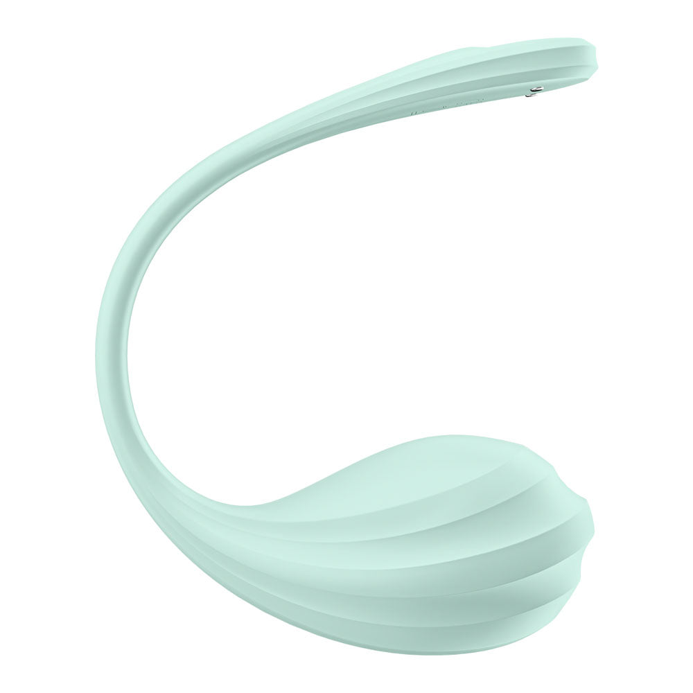 Satisfyer Smooth Petal Wearable Rechargeable G-Spot Stimulator > Sex Toys For Ladies > G-Spot Vibrators Main image