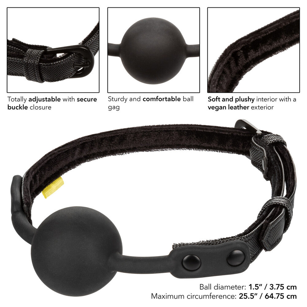 Boundless Ball Gag > Bondage Gear > Gags and Bits