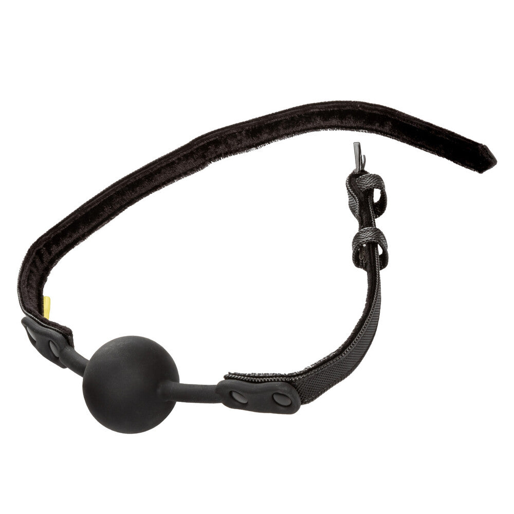 Boundless Ball Gag > Bondage Gear > Gags and Bits