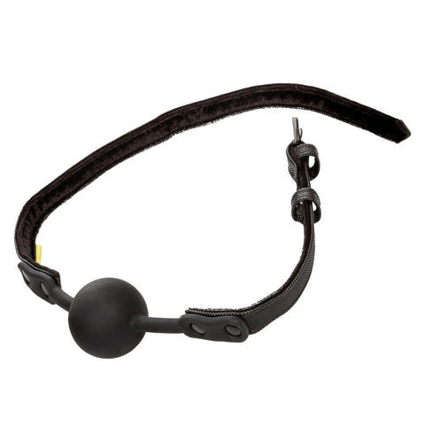 Boundless Ball Gag > Bondage Gear > Gags and Bits