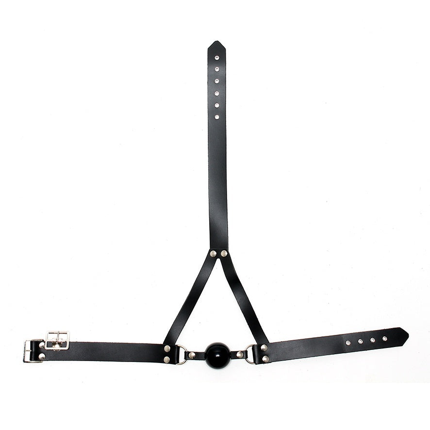 Leather Ball Gag And Head Harness > Bondage Gear > Gags and Bits