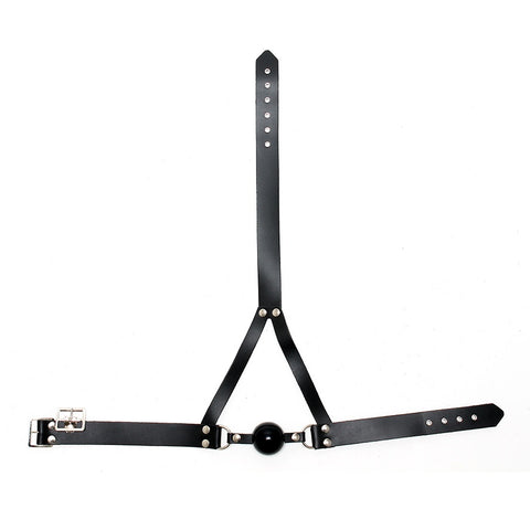 Leather Ball Gag And Head Harness > Bondage Gear > Gags and Bits