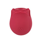 Loving Joy Rose Toy – Waterproof USB Rechargeable Clitoral Suction Vibrator > Sex Toys For Ladies > Rose Stimulators