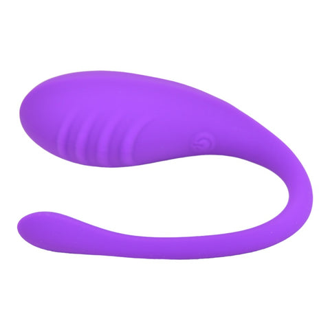 Loving Joy Remote Controlled Love Egg Vibrator – Waterproof Rechargeable Silicone Vibrator EGGS