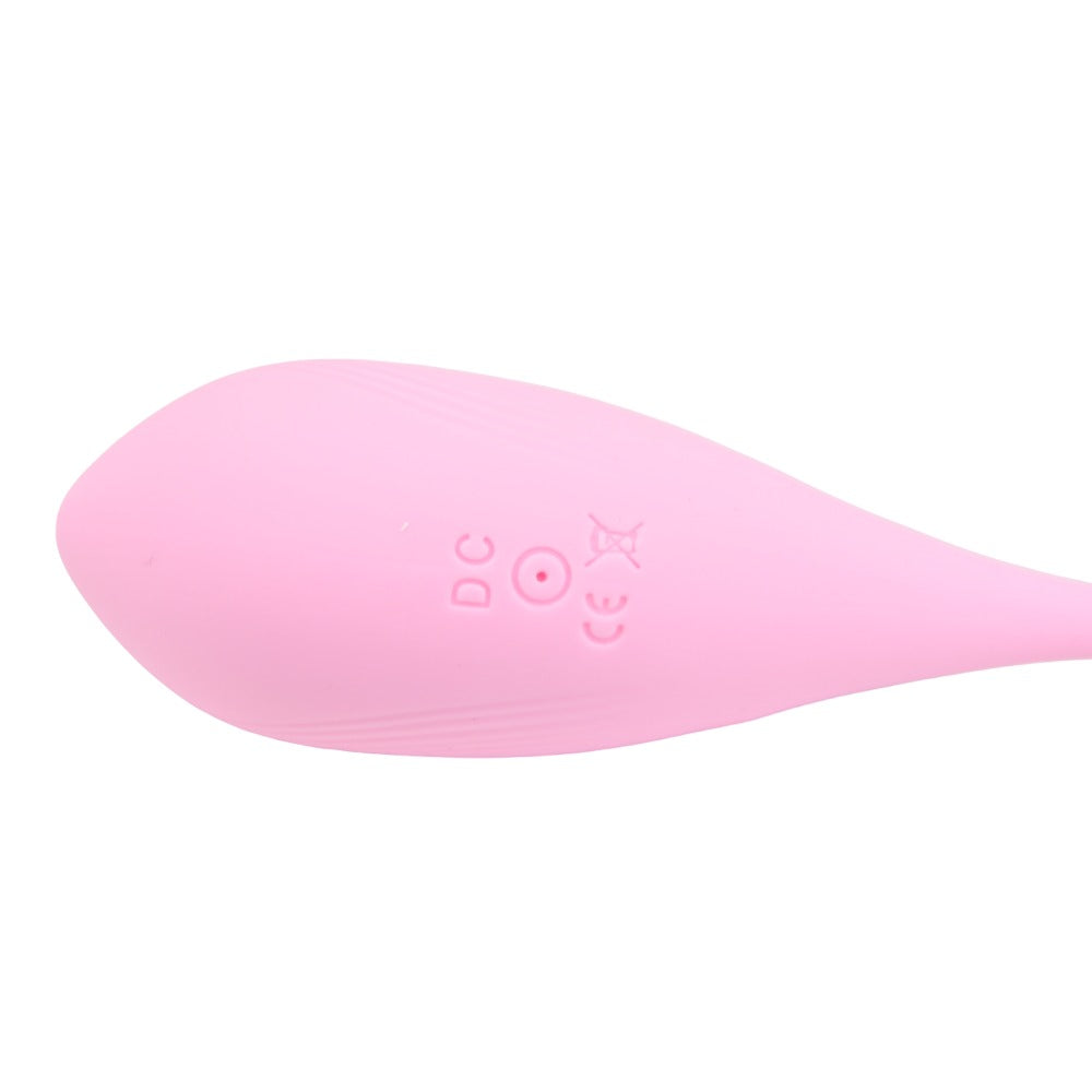 Loving Joy Remote Controlled Vibrating Egg – Waterproof Rechargeable Silicone Vibrator > Sex Toys For Ladies > Vibrating Eggs