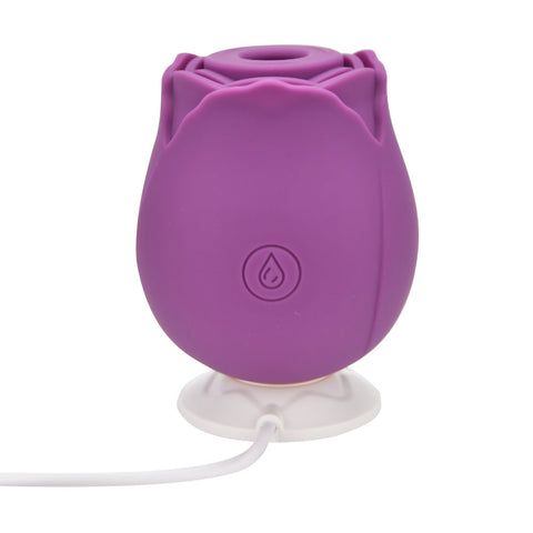 Loving Joy Rose Toy (Purple) – Waterproof USB Rechargeable Clitoral Suction Vibrator Rose Stimulators