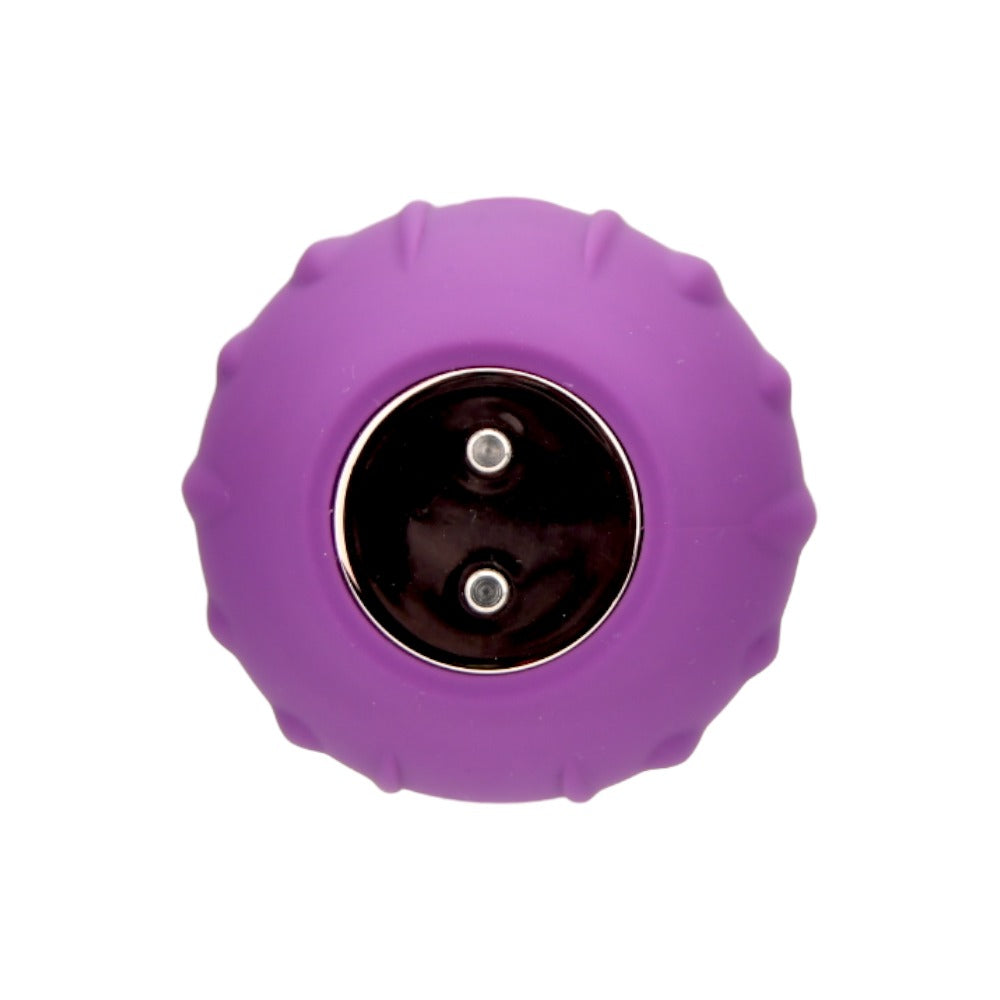Loving Joy Rose Licking Clitoral Vibrator (Purple) – Waterproof USB Rechargeable Vibrator Rose Stimulators