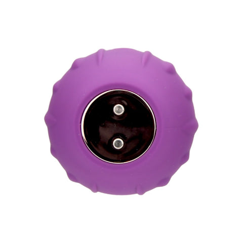 Loving Joy Rose Licking Clitoral Vibrator (Purple) – Waterproof USB Rechargeable Vibrator Rose Stimulators