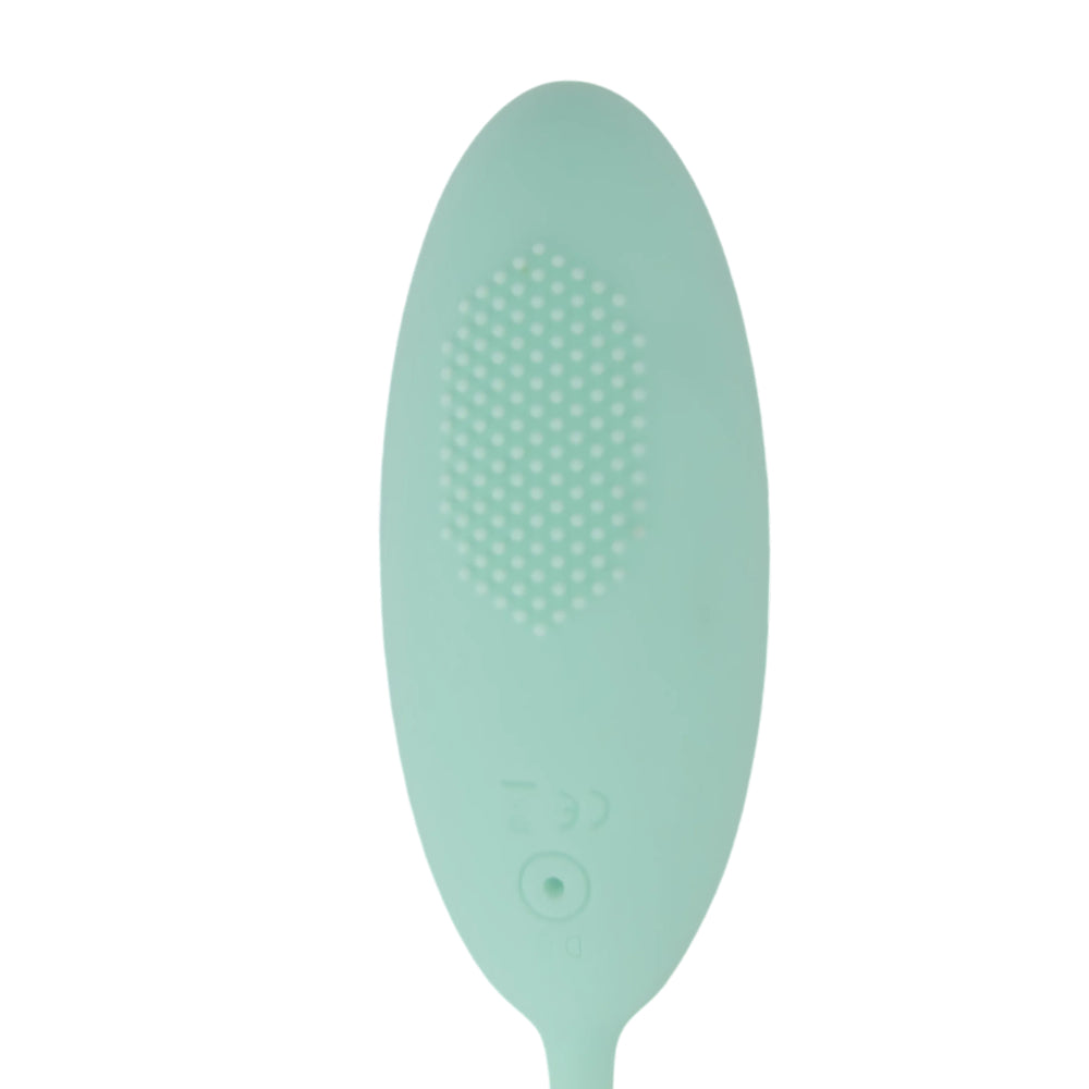 Tabooboo Take Me Back To Bed (Purple) – Waterproof Remote-Controlled Vibrating Love Egg 7 Inch Length 3.8 Inch Circumference EGGS