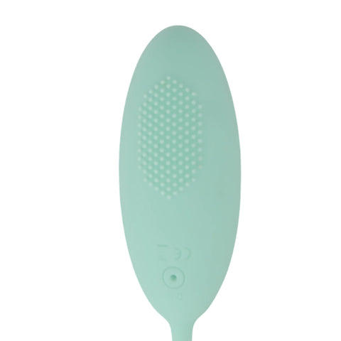 Tabooboo Take Me Back To Bed (Purple) – Waterproof Remote-Controlled Vibrating Love Egg 7 Inch Length 3.8 Inch Circumference EGGS