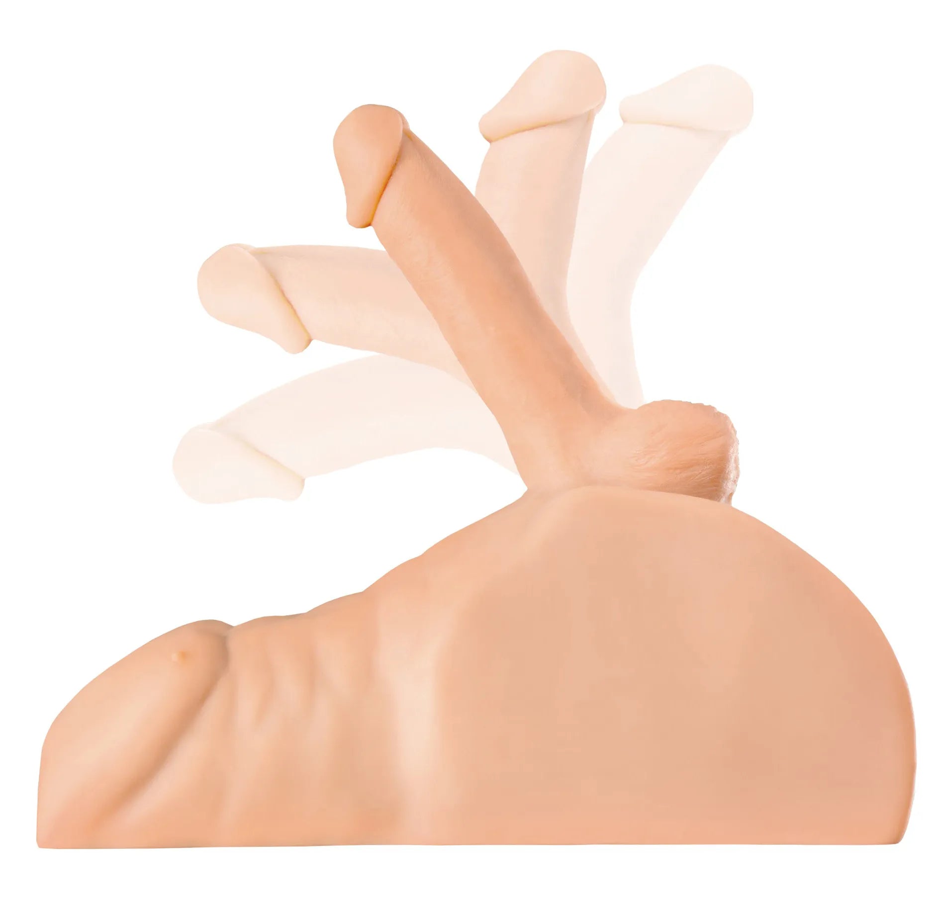 PDX Extreme Plus Perfect Ride Dual-Purpose Posable Cock Torso – Male Masturbator > Sex Toys > Sex Dolls > Premium