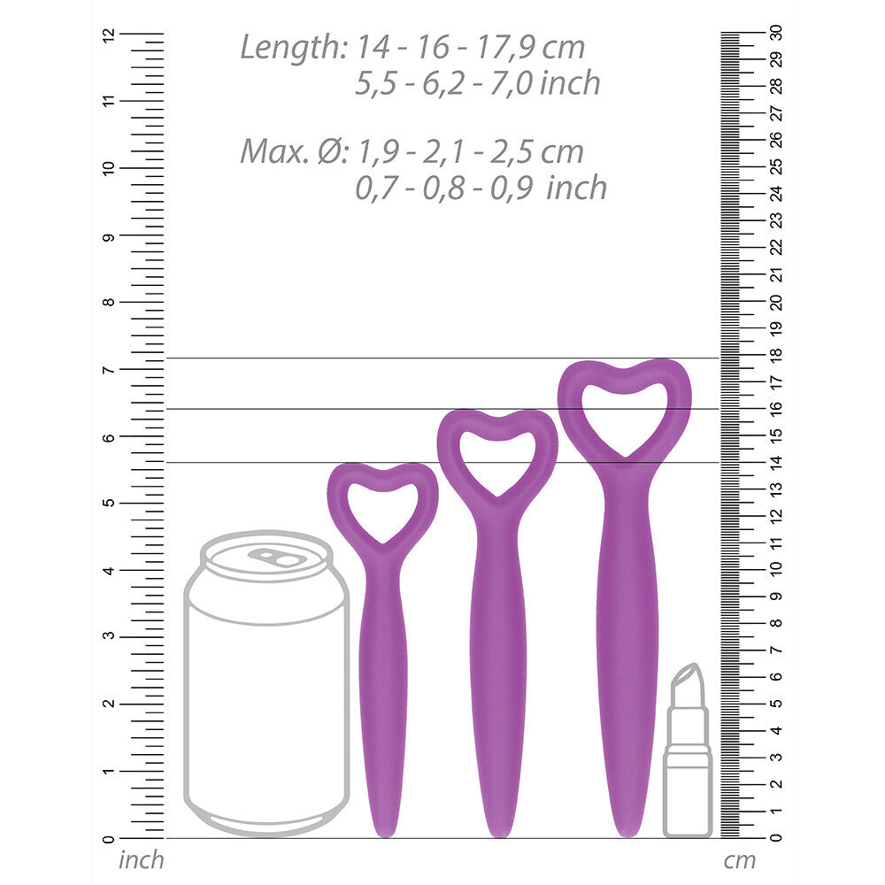 Ouch Silicone Vaginal Dilator Set Purple 4 Piece Kit Dilators
