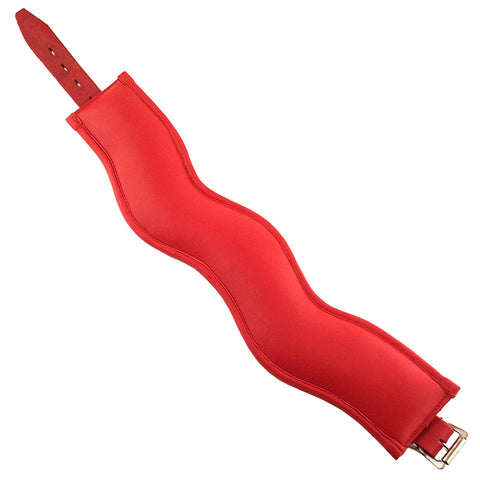 Rouge Garments Red Padded Adjustable Leather Collar – Posture Collar > Bondage Gear > Collars