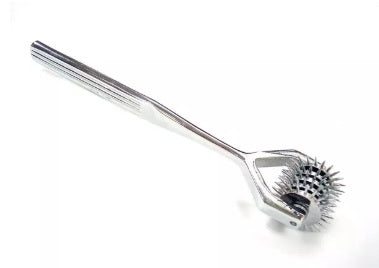 Rouge Stainless Steel 5 Wheel Pin Wheel Default Title > Bondage Gear > Medical Instruments