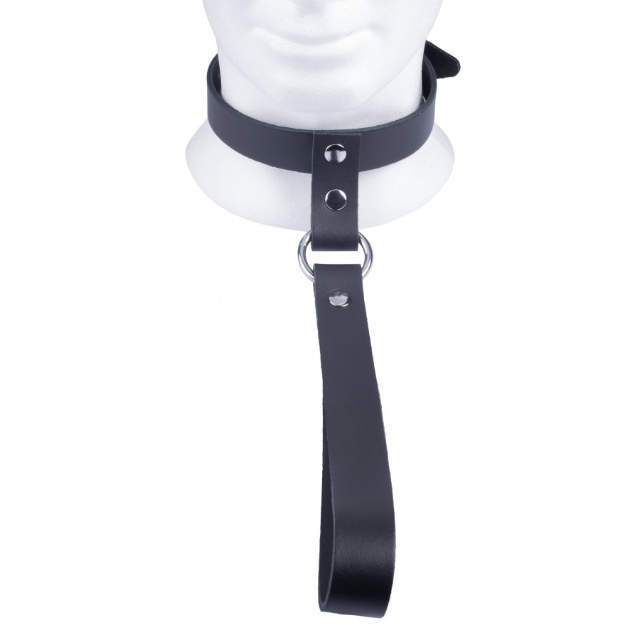 Red Leather Collar With Short Leash For Intimate Play > Bondage Gear > Collars