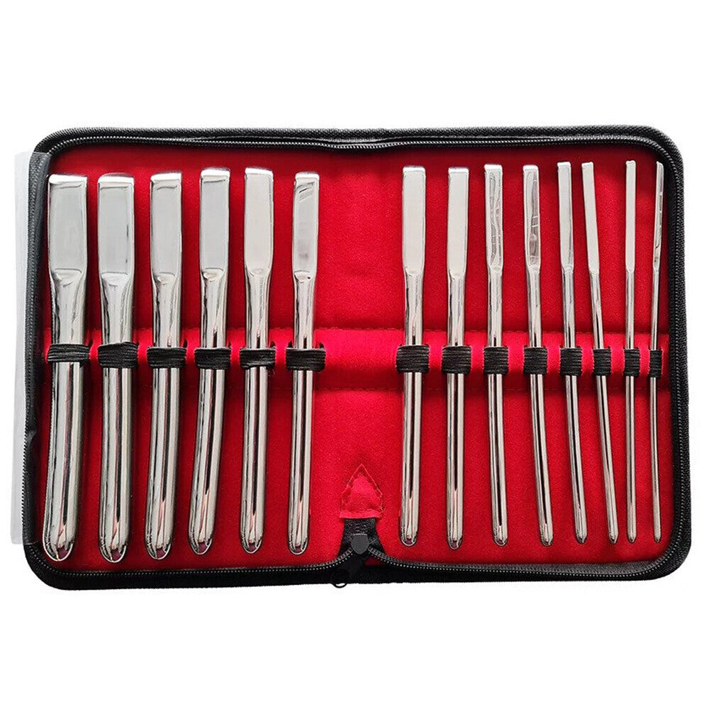 Rouge Garments Hegar 14 Piece Uterine Dilator Set – Stainless Steel Medical Dilator Set > Sex Toys For Men > Sounding Rods Main image