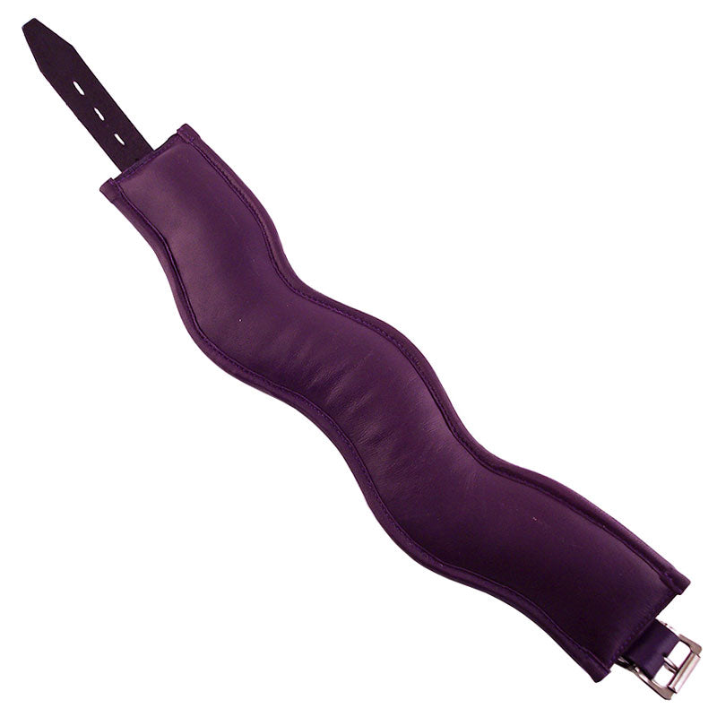 Rouge Garments Purple Padded Posture Collar For Intimacy > Bondage Gear > Collars