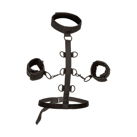 Boundless Collar Body Restraint Black Restraints