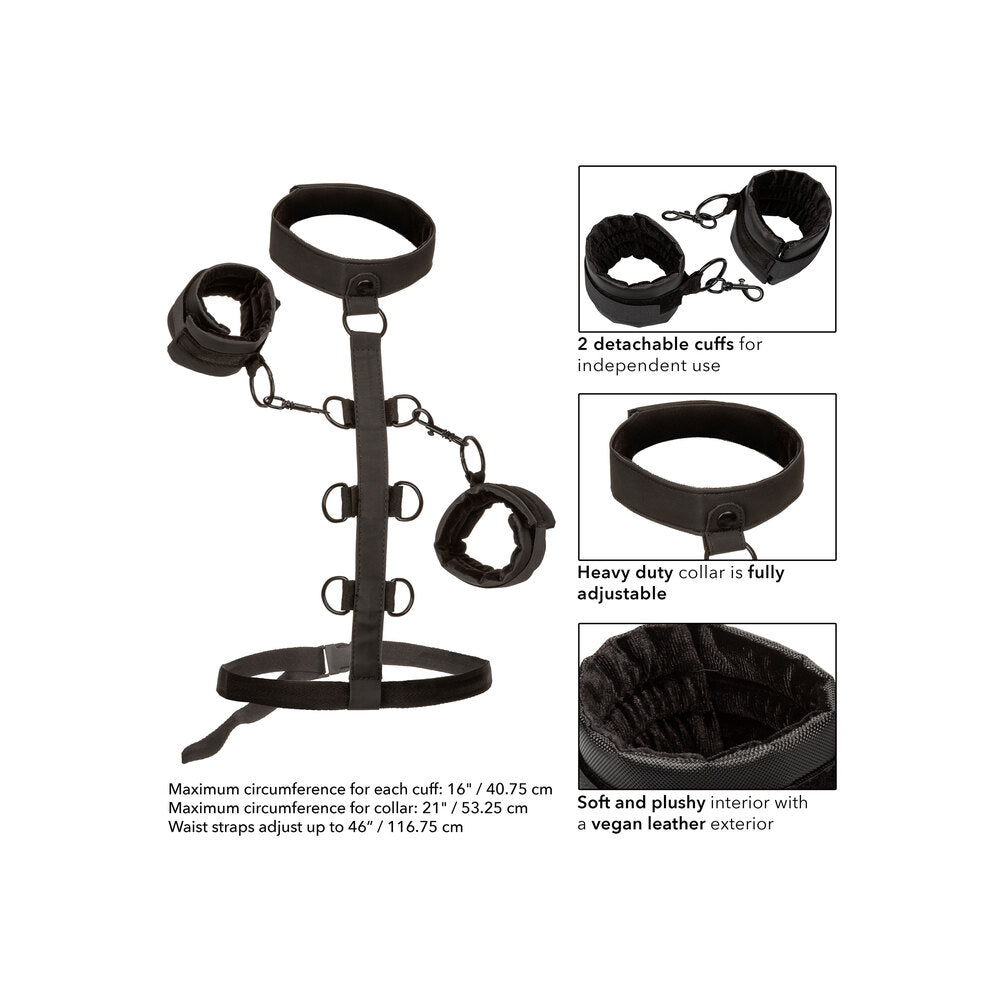 Boundless Collar Body Restraint Restraints