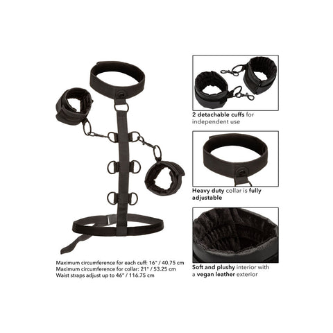 Boundless Collar Body Restraint Restraints