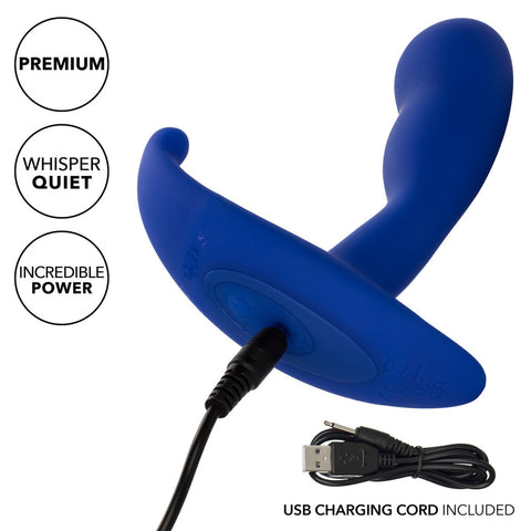Admiral Advanced Curved Probe > Anal Range > Anal Probes