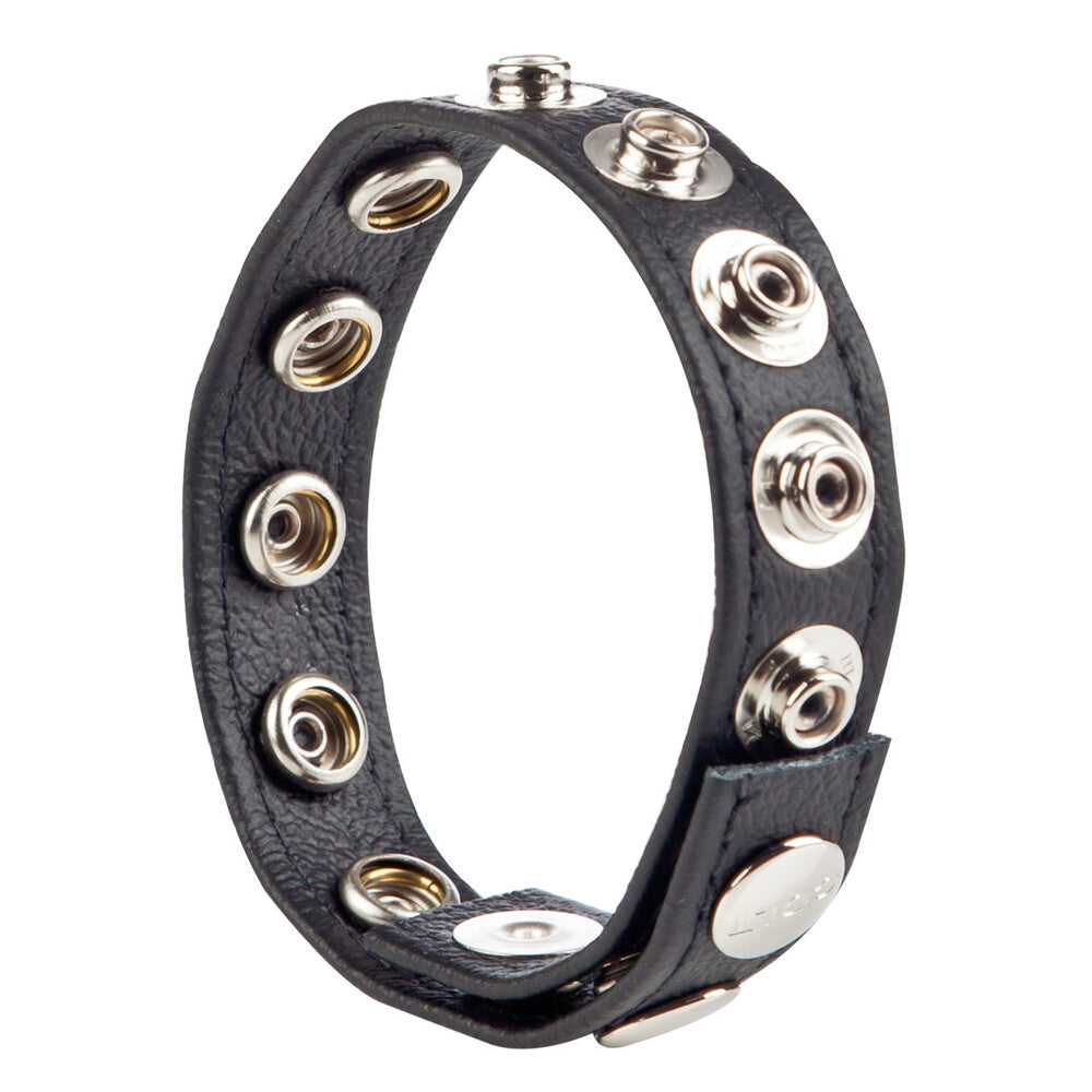 Colt Leather Cock and Ball Strap Black COCK RINGS