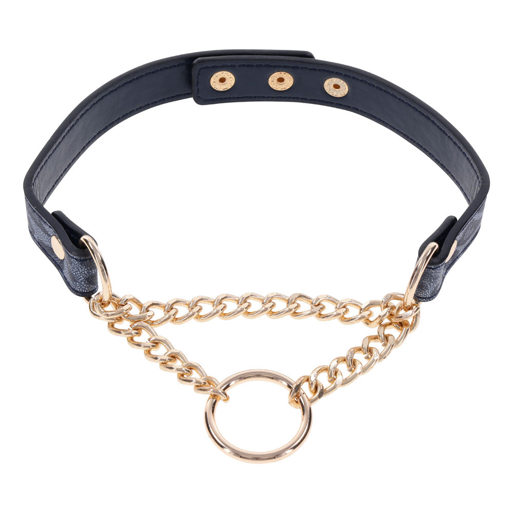 Sex & Mischief Cougar Day Collar Navy and Gold with Chain and Ring Size 38-43 cm Blue Leash