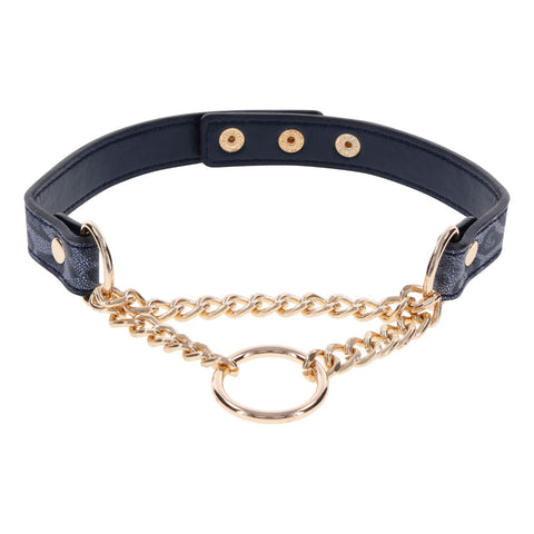 Sex & Mischief Cougar Day Collar Navy and Gold with Chain and Ring Size 38-43 cm Leash