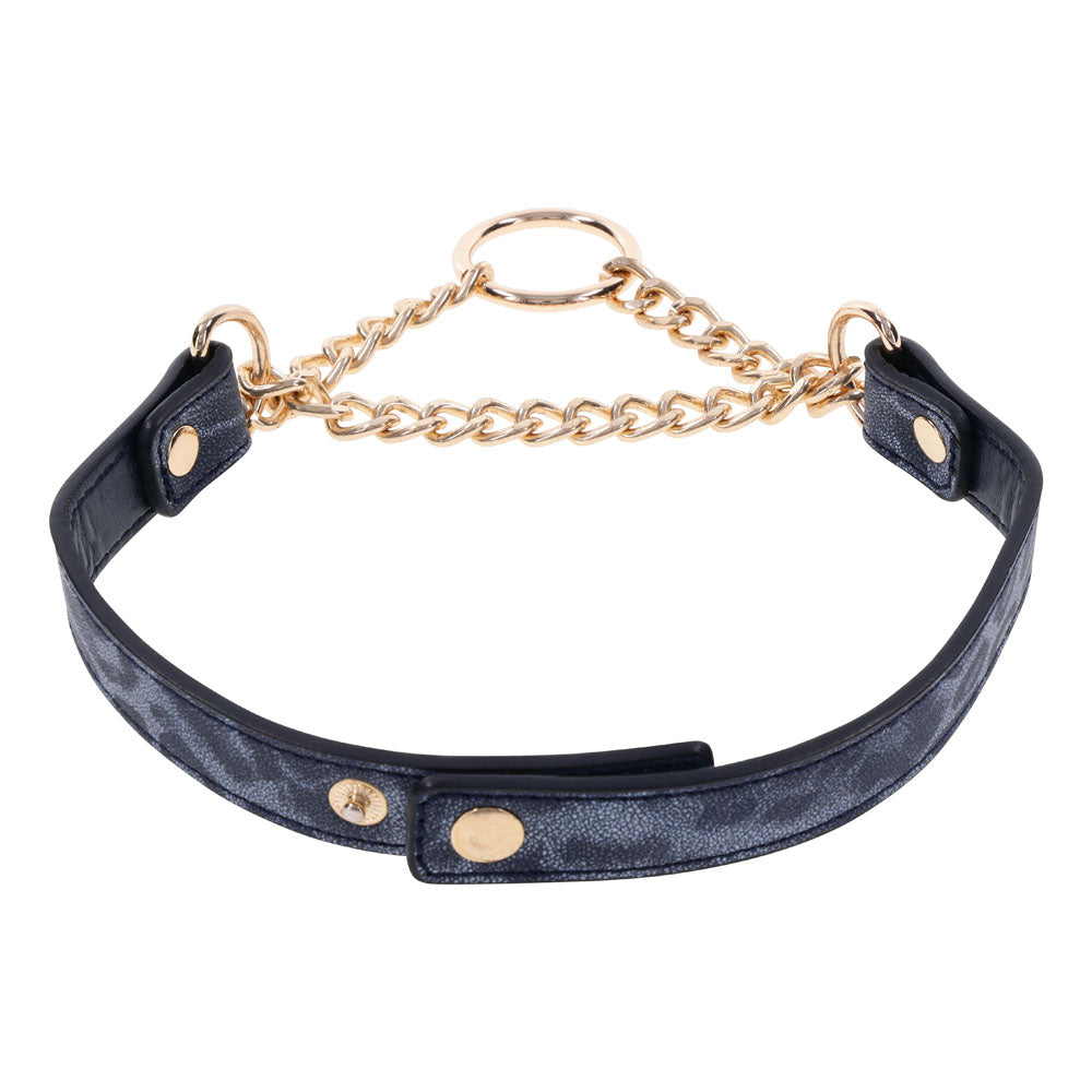 Sex & Mischief Cougar Day Collar Navy and Gold with Chain and Ring Size 38-43 cm Leash