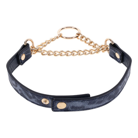 Sex & Mischief Cougar Day Collar Navy and Gold with Chain and Ring Size 38-43 cm Leash