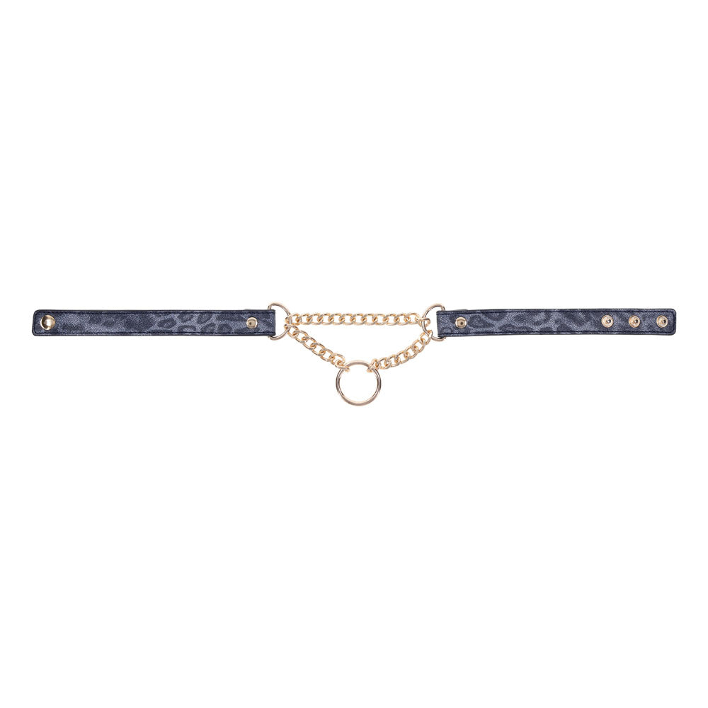 Sex & Mischief Cougar Day Collar Navy and Gold with Chain and Ring Size 38-43 cm Leash