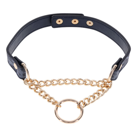 Sex & Mischief Cougar Day Collar Navy and Gold with Chain and Ring Size 38-43 cm Blue Leash