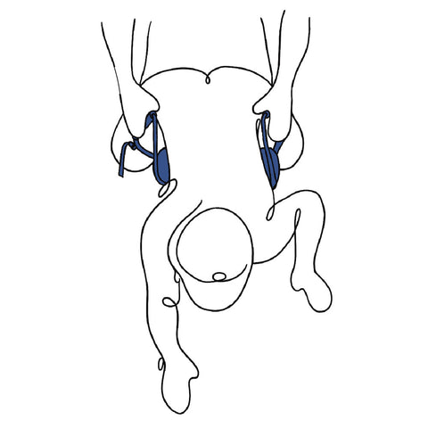 Pivot Deluxe Doggie Strap - Positioning Strap BONDAGE-TOYS