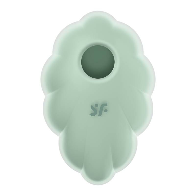 Satisfyer Cloud Dancer Mint – Compact Size Rechargeable Vibrator > Sex Toys For Ladies > Air Pulsation