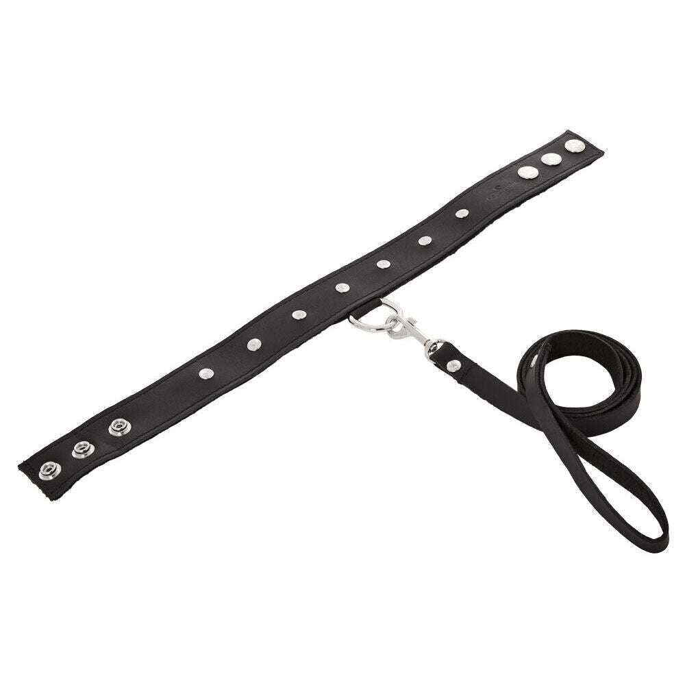 SportSheets Leather Collar And Leash Set For Intimacy > Bondage Gear > Collars
